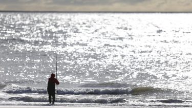 La llaman el Paraíso de los Pescadores por la abundancia y variedad de peces que habitan sus aguas.  Fotos: Turismo Carmen de Patagones.