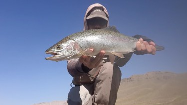 Truchas de buen porte en la laguna Varvarco Campos en Los Cerrillos. Ese es el tamaño promedio.