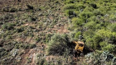 Informe de Greenpeace revela que durante el 2021 casi la mitad de la deforestación del Norte Argentino se produjo en Santiago del Estero, y más del 80 por ciento fue ilegal. En Chaco las topadoras arrasaron 18 mil hectáreas, a pesar de que los desmontes están suspendidos por la justicia provincial. La organización ecologista volvió a reclamar la penalización de la destrucción de bosques.