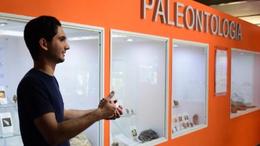 Explorando la paleo