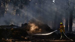 Logran contener un incendio que se originó detrás de Invap, en el este de Bariloche