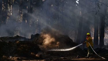 Brigadistas del Splif y otros organismos combatieron el fuego cerca de Invap y lograron contenerlo. Foto: Chino Leiva