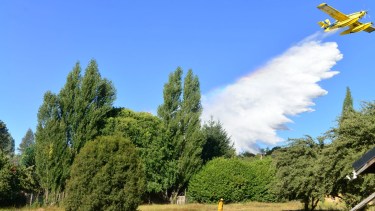 El fuego estuvo cerca de las viviendas, pero no afectó ninguna construcción. Foto: Chino Leiva