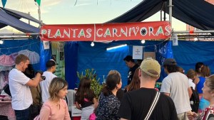 Plantas a 10 mil pesos, el exótico stand que podés encontrar en la Fiesta de la Confluencia