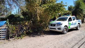 Allanaron una vivienda y encontraron plantas de marihuana