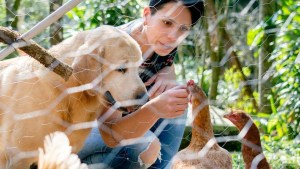 Gripe aviar: ¿puede haber una pandemia en humanos?