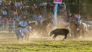 Fiesta Nacional del Puestero en Junín de los Andes: 16 fotografías para disfrutar lo mejor del campo