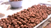 Imagen de Un emprendimiento familiar de avellanas se abre camino en el mercado de los frutos secos en Cipolletti
