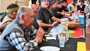 La mesa de diálogo por el conflicto mapuche en Villa Mascardi ya tiene fecha