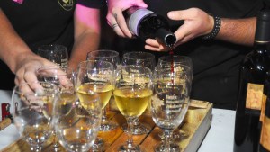 Fiesta de la Vendimia 2024: desde la Municipalidad de Regina confirmaron que se realizará en marzo