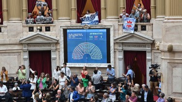 El momento de la aprobación y el festejo del bloque oficialista. 