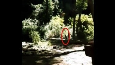 El momento exacto del video en que capturaron al duende, en Bariloche.-