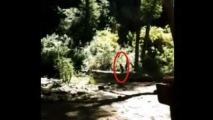 Bariloche: aseguran haber visto y filmado a un duende en la zona del Cerro Tronador