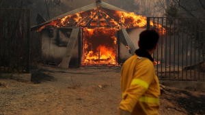 Los incendios en Chile ya dejaron 24 muertos y 554 heridos, 16 graves
