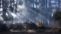 Imagen de Weretilneck llamó a reforzar la prevención de incendios forestales y pidió un uso racional del agua