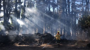 Weretilneck llamó a reforzar la prevención de incendios forestales y pidió un uso racional del agua