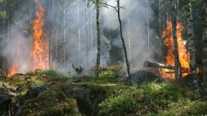 Chile combate 34 incendios forestales y declaran alerta roja en diversas regiones