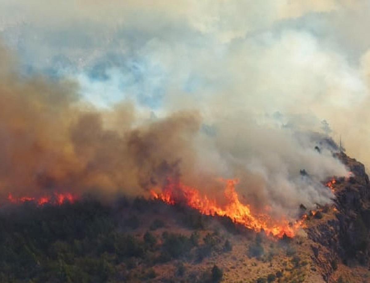 El fuego se desató en cercanías de la laguna Larga, en jurisdicción del parque nacional Los Alerces, en Chubut. Gentileza 
