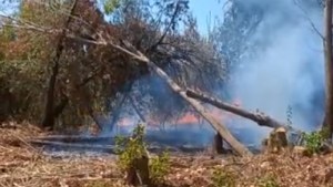Se incendió un sector del nuevo parque costero de Fernández Oro