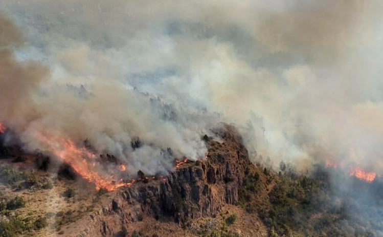 El incendio en el parque Los Alerces ya afecta 330 hectáreas. Foto: Télam