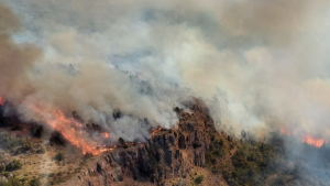Incendio en parque Los Alerces: crece el riesgo y un pueblo de Chubut se quedó sin luz