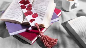 El desamor y la desconfianza en dos libros que no celebran San Valentín
