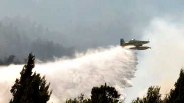 Incendio en el parque Los Alerces ya arrasó con 8 mil hectáreas.