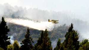 Video: la tristeza alrededor del incendio que consume el bosque en el lago Cholila