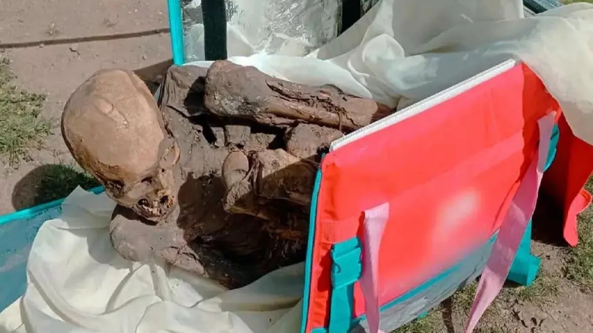Las autoridades iniciaron las gestiones para avanzar en la preservación de la momia. 