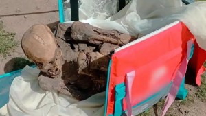 Encontraron una momia prehispánica de 800 años en la mochila de un repartidor en Perú