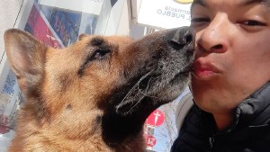 Ataque homofóbico al paseador de perros en Cipolletti: Las cámaras registraron el encuentro