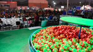 Suspendieron la Fiesta de la Manzana 2024 en Roca por inflación y suba de tarifas