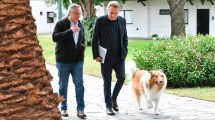 Imagen de Rossi: «sería raro» que el presidente Alberto Fernández “tenga que someterse a unas PASO»