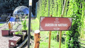 Mejor lo nuestro: un jardín de nativas para la cervecería