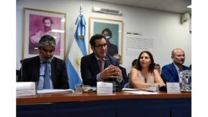 El secretario de Comercio, Matías Tombolini, expuso en Diputados: “la unificación cambiaria es un objetivo compartido”