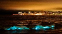 Imagen de Noctilucas: el fenómeno que iluminó de azul fluorescente las olas de Mar del Plata