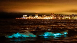 Noctilucas: el fenómeno que iluminó de azul fluorescente las olas de Mar del Plata