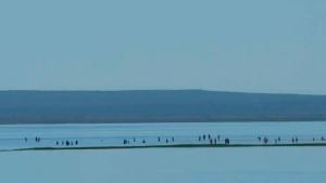 Esta playa no tiene nombre: está a metros de Punta Perdices, pero mirá por qué deberías conocerla