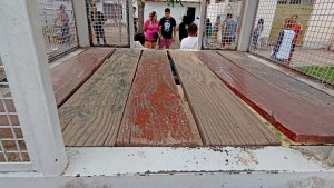 Familias de la Escuela 132 denuncian abandono y harán asamblea en Neuquén