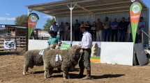 Imagen de Con buenas ventas de carneros finalizó la XI Expo Rural Ovina de Roca