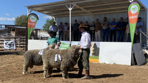 Con buenas ventas de carneros finalizó la XI Expo Rural Ovina de Roca