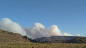 Del dramático rescate de los crianceros por el incendio en Chile, a ir en la búsqueda de sus animales