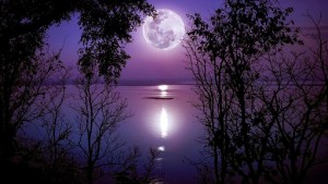 Luna llena en Virgo: de qué se trata y cómo afecta a cada signo del zodíaco
