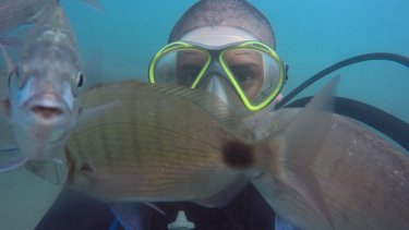 La Patagonia Argentina es uno de los destinos preferidos de los turistas a nivel nacional e internacional. Fotos: Cota Cero.