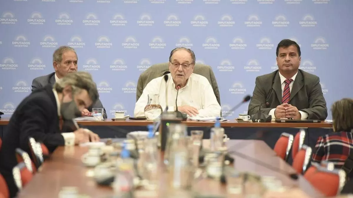 En vivo: diputados trata el fortalecimiento de la Justicia Penal ...