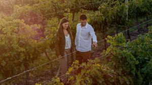 Por qué es el mejor momento para visitar las bodegas: la vendimia se vive en la Patagonia