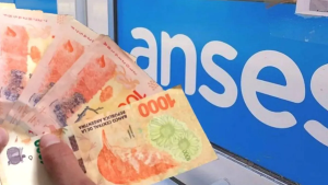 ANSES entrega un bono de $32.175: cómo anotarse y a quiénes alcanza