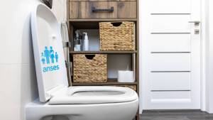 Formulario del plan Mi Baño: cómo anotarse para cobrar $600.000