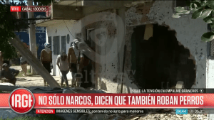 Video: los narcos le robaron el caniche y lo recuperó durante la pueblada en Rosario