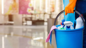 Empleadas domésticas: ¿Puedo cobrar asignaciones si estoy registrada?